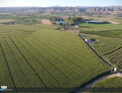 Agricultura Espectacular